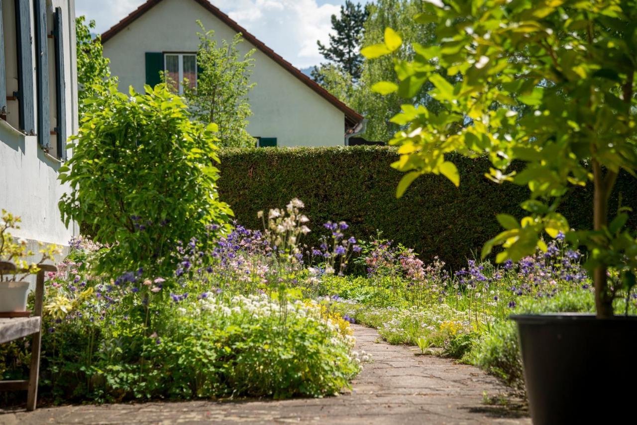Landhauswohnung Mit Wildromantischem Garten Apartamento